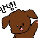 흥덕식당 | [식탐] 전남 순천 :: 흥덕식당 백반정식