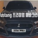 강남-220 | 차량 에어컨 청소 서초 머스탱 에바크리닝 내부 클리닝 후기