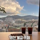 오봉로 | 양산 물금 황산공원 근처 아이랑 카페 모두와 카페 방문 후기