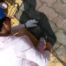 백선바오로의집 이미지