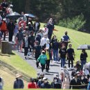 나이스골프존 이미지