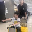 사라보래 이미지