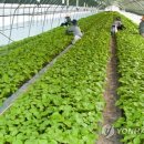 금산농업협동조합 이미지