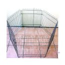 미미애견 이미지