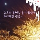 힐링비채아 이미지