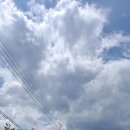 미소키즈풀빌라 이미지