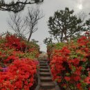대호부동산중개사무소 이미지