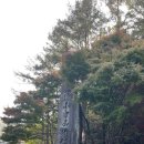 설악산가방 이미지