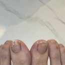 엘앤제이왁싱레푸스오송점 이미지