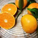 한밭농장 이미지