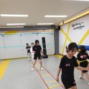 정석 에이스 태권도장 네이버블로그