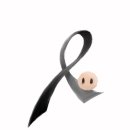 제주항공 여객기 참사 희생자분들을 추모합니다. 이미지