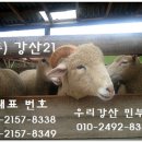 강산컨설팅