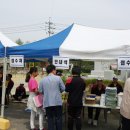 용원초교 이미지