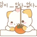 심심토끼 이미지