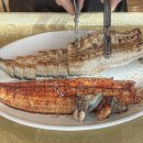 임진각화로구이 | 파주 임진각 장어 맛집 장어명가지중해 차림비 없는 국내산 장어