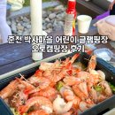 철수마을 | [춘천] 박사마을 어린이 글램핑장 오토캠핑장 데크 후기