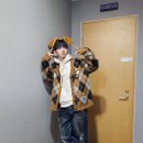 리즈퍼피 이미지