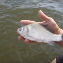 부연낚시터 이미지