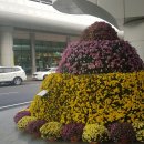 새참수레반찬 이미지