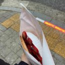 큰여울김치찌개 이미지