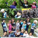 행안농장 이미지