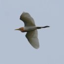 송내공원 이미지