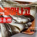 바다장어 이미지