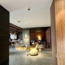 러블리독 애견카페 | 강아지와 함께하는 홍천 소노펫 띵킹독 애견동반카페(내돈내산 후기)