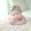 사랑스럽댕 이미지