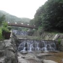 민주지산자연휴양림 이미지