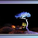 고요한 아침 이미지