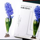 당신의 꽃그림 보테니컬 아트 네이버블로그