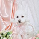 개인의 공간, 쉼 이미지