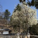 영남루 주차장 화장실 | [여행] 연휴에 가족들과 가기좋은 밀양 여행 추천 / 영남루 / 밀양강 오리배