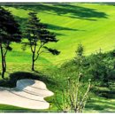 중앙 골프장 이미지