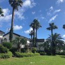 팜트리 빌리지 이미지