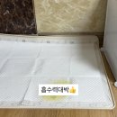 코코라이프 | 흡수력 좋은 강아지 배변패드 찾는다면? 코코시루 쉬싹 솔직후기