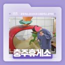 충주휴게소 화장실(창원방향) | 경주 내려가는 길 충북 휴게소 추천! - 충주 휴게소 (창원방향) 솔직후기!