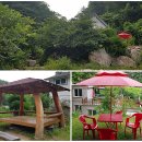 자작나무길펜션 이미지