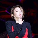 더다미 이미지