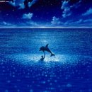 그랑블루(grand bleu) 이미지