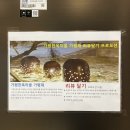 경기도 가평 2박3일 여행 - 모스트인 가평한옥마을 가평재 숙소 후기 / 단체로 가기 좋은 가평 독채 펜션