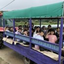 용인대호수태권도장 이미지