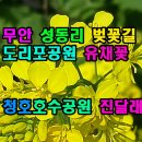 성동리 이미지