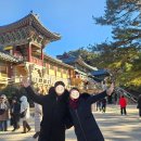 (주) 삼배 | 판교 메디피움 나팔관 조영술 후기-그런데 임신 후기를 곁들인