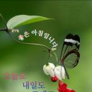 9월15일(수요일)간추린뉴스 이미지