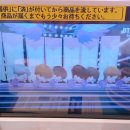 더스시투어 이미지