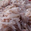 설도젓갈타운 이미지