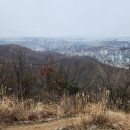 새벌농장 Daum카페